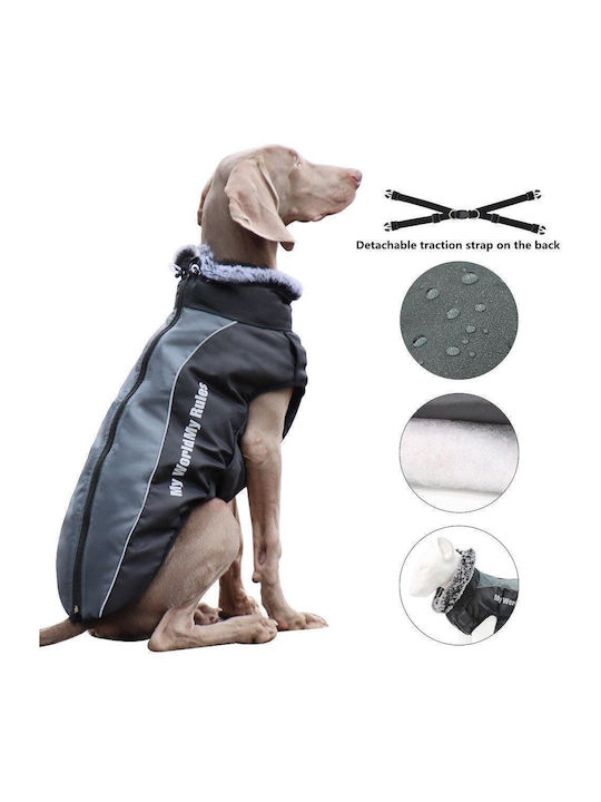 Animal Hundemantel Gray mit Rückenlänge 62 cm.