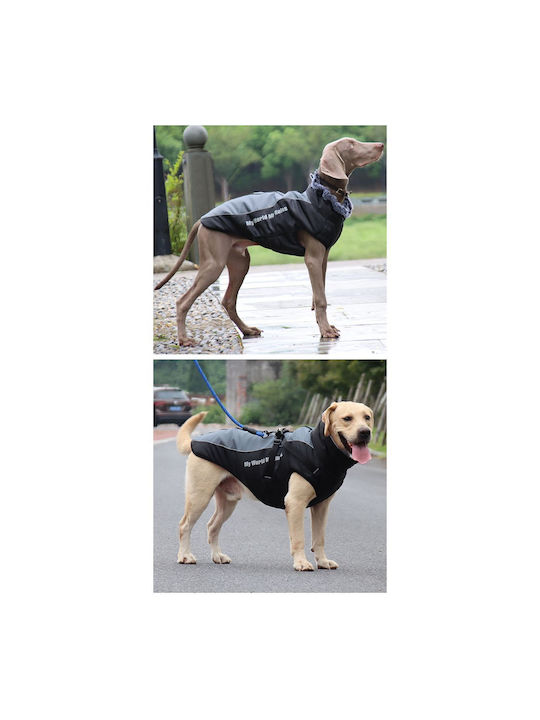 Animal Hundemantel Gray mit Rückenlänge 62 cm.