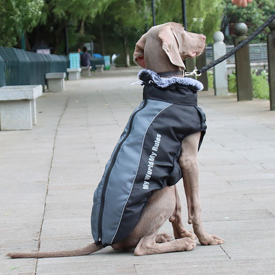 Animal Gray Dog Coat with 62cm Back Length