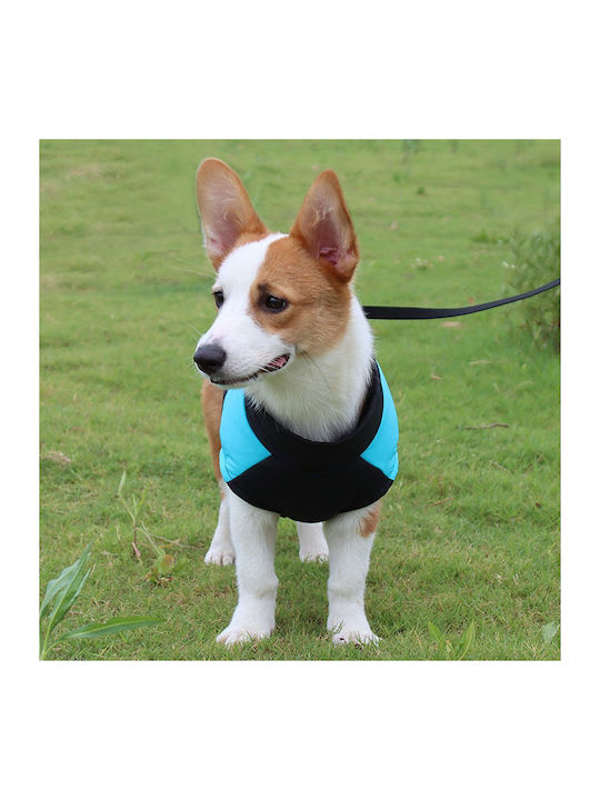 Animal Blue Dog Coat with 52cm Back Length