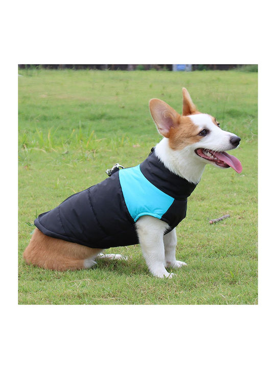 Animal Blue Dog Coat with 52cm Back Length