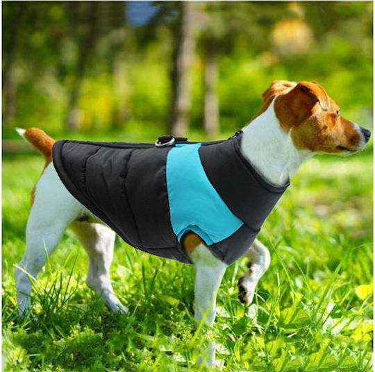 Animal Hundemantel Blau mit Rückenlänge 31 cm.