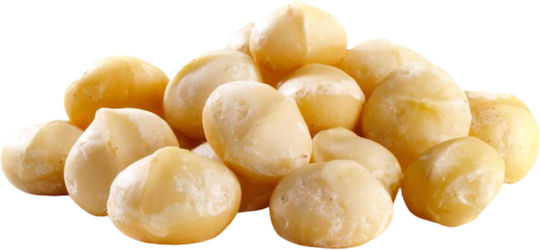 Μακαντάμια Ωμά Βιολογικά Organic Raw Macadamia Nuts 250γρ