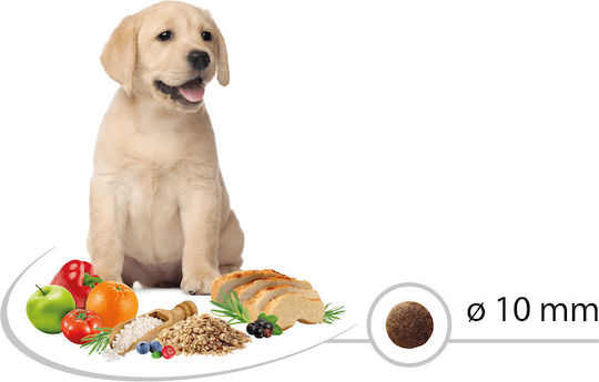 Picart Select Puppy Medium 3kg Dry Food for Medium Breed Puppies with Chicken and Rice