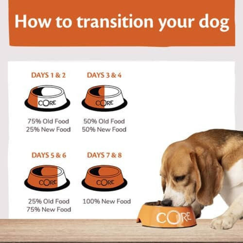 Wellness Core Puppy Original Large 2.75kg Dry Food Grain-Free for Large Breed Puppies with Turkey and Chicken