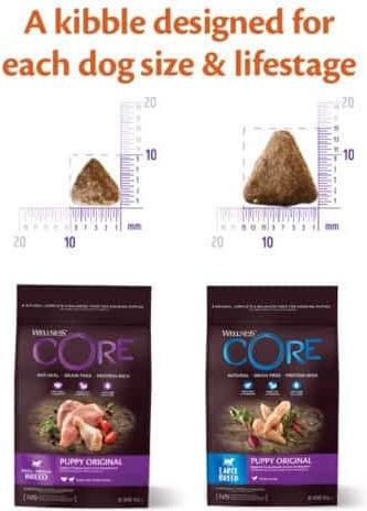 Wellness Core Puppy Original Large 2.75kg Dry Food Grain-Free for Large Breed Puppies with Turkey and Chicken
