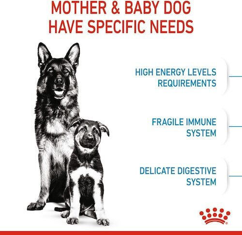 Royal Canin Starter Mother & Babydog Maxi 15kg Dry Food for Large Breed Puppies with Poultry and Rice