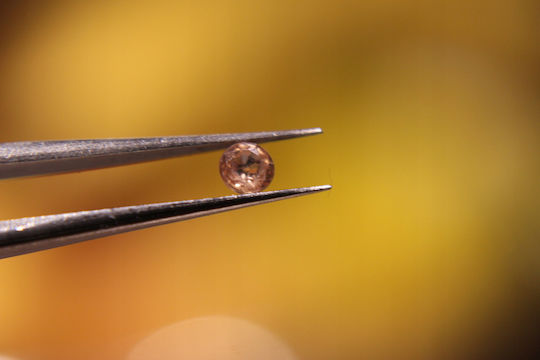 Safire Pietre Naturale 4.45ct 25 Bucăți