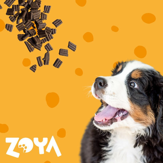 Zoya 1kg Ξηρά Τροφή για Ενήλικους Σκύλους με Αρνί