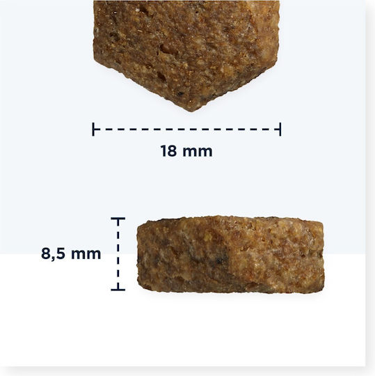 Eukanuba Adult German Shepherd 12kg Dry Food for Adult Large Breed Dogs with Chicken