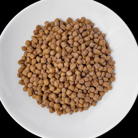Dog Food 8kg Hrană Uscată pentru Câini