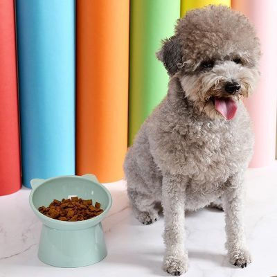 Kunststoff Schalen Futter für Hund & Katze 300ml in Hellblau Farbe