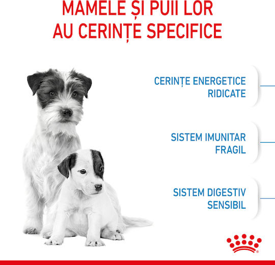 Royal Canin Starter Mother & Babydog Mini 4kg Dry Food Gluten-Free for Small Breed Puppies with Poultry and Rice