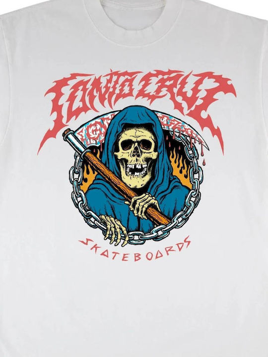 Santa Cruz