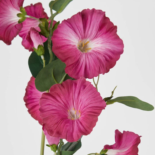 Florista Ipomoia 76cm Dunkles Rosa Tiefe 12cm X Breite 8cm X Höhe 76cm Florista Ipomoia 76cm Dunkles Rosa Tiefe 12cm X Breite 8cm X Höhe 76cm