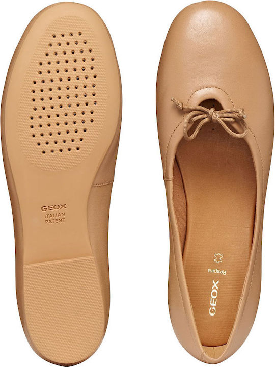 Palmaria Women's Ballerina Shoes in Tabac Brown Colour