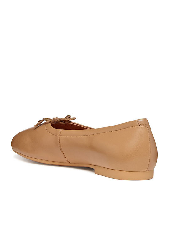 Palmaria Women's Ballerina Shoes in Tabac Brown Colour