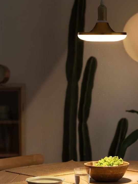 Avizar Round Led Light Panel 6w 83×83mm Ultra-thin Design Blanc Doré