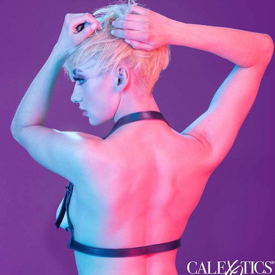 Calexotics Harness Black