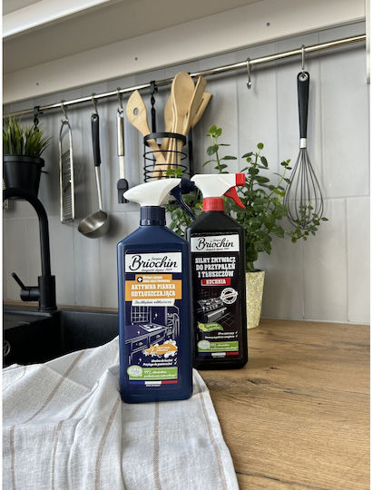 Briochin Αφρός Καθαρισμού Γενικής Χρήσης 750ml