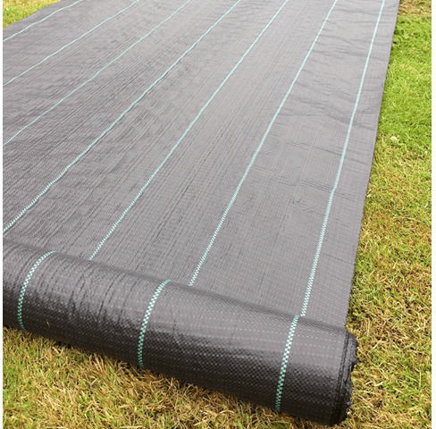 Agro Textilien Bodendecker 0.93x10m Schwarzes