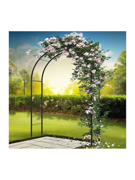 Metal Garden Arch in Bronze Colour 145x38x235cm