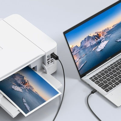 Wozinsky Regular USB 2.0 Cablu USB-C bărbătesc - USB-B Negru 2m