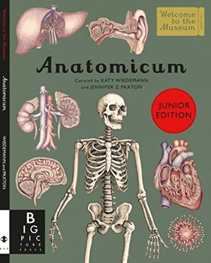 Big Picture Press Anatomicum Junior Jennifer Z Paxton