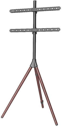 Focus Mount TT164 Wall TV Mount up to 40kg
