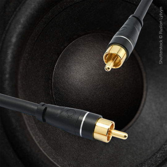 Oehlbach 3m RCA male Cable (D1C33161)