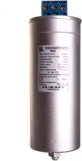 Erko Αισθητήρας Θερμοκρασίας KG_MKG-20-450 1τμχ