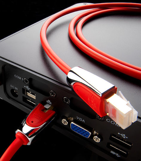 Chord Shawline Cable RCA male - RCA male 5m