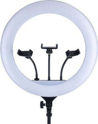 Ring Light 43cm με Τρίποδο Δαπέδου και Βάση για Κινητό