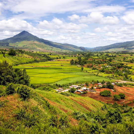 Natürliche Bourbon Vanille Madagascar Pulver 5 g