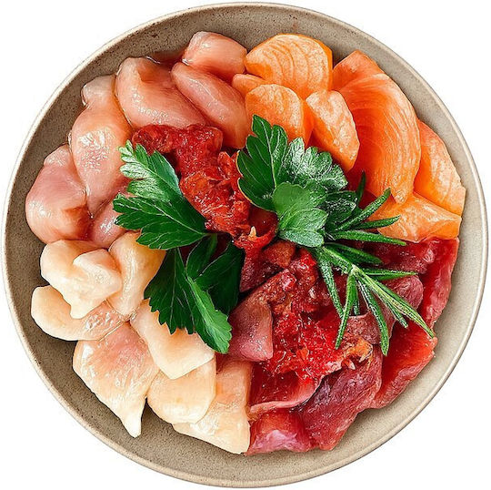 Υγρή Τροφή Γάτας Shelma Rich In Salmon Cod Beef Chicken 4x85g