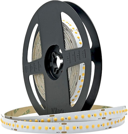 Geyer Ταινία LED 24V Ψυχρό Λευκό Φως 5m Τύπου COB