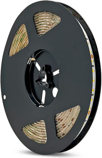 Geyer Waterproof LED Strip 24V Warm White Light 5m
