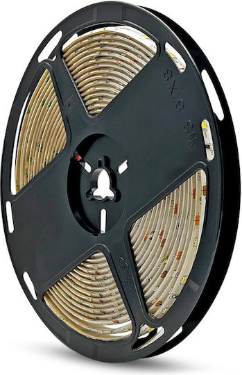 Geyer Waterproof LED Strip 12V Warm White Light 1m Type SMD5050