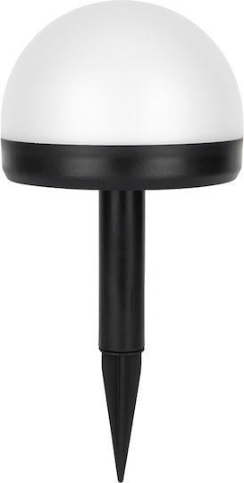 Nattera Set of 4 Stake Solar Lights 500lm with Cold White Light IP44