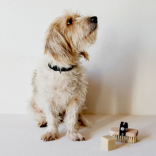 Andrée Jardin Dog Brush for Coat Cleaning