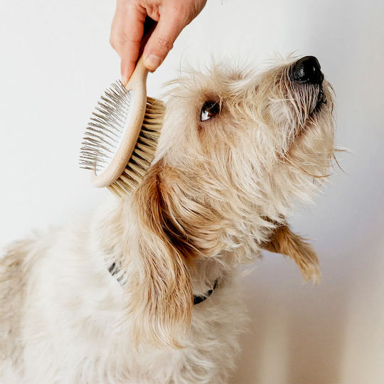 Andrée Jardin Double Sided Dog Brush for Coat Care