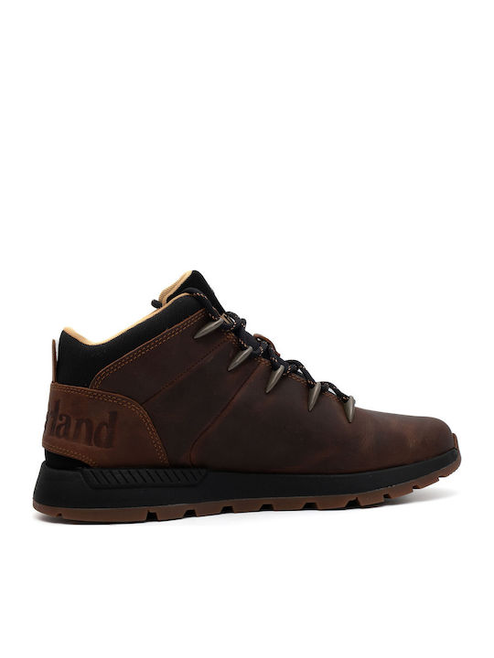 Timberland Sprint Trekker Încălțăminte de Drumeție Bărbați Botine Maro