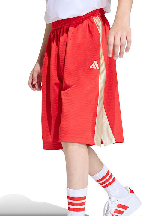 Sport Kids Shorts/Bermuda Red