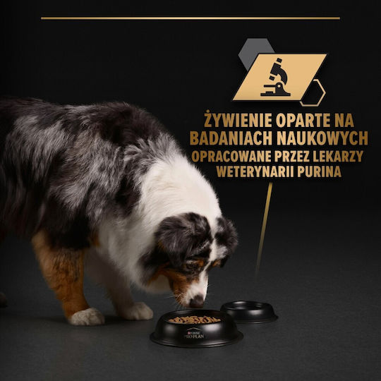 Purina Wet Food Dogs with Turkey Grain-Free 400gr
