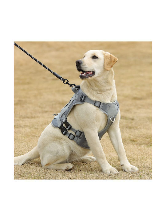 Animal Γιλέκο Γκρι Animal Γιλέκο Γκρι
