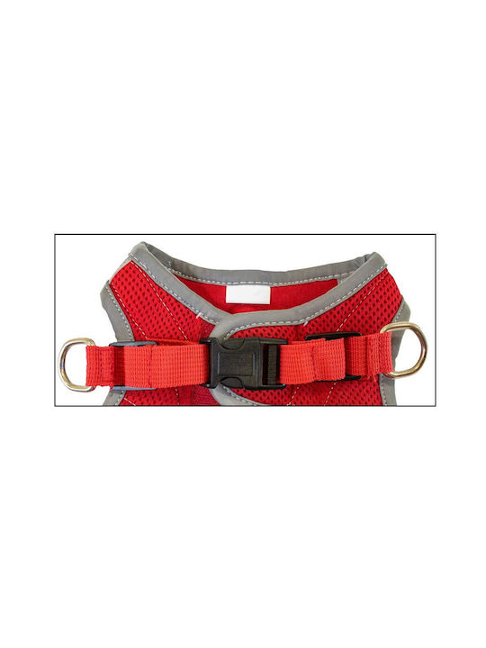 Croci Σαμαράκι Σκύλου Strap Red