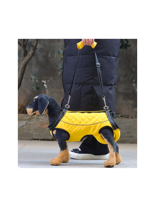 Pet Support Harness Back Length 21cm Chest Width 34cm Neck Width 34cm Back Length 21cm