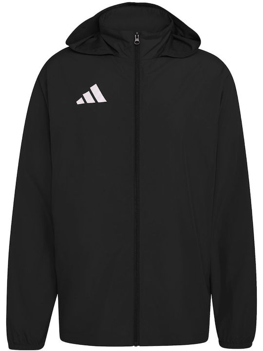 adidas adidas