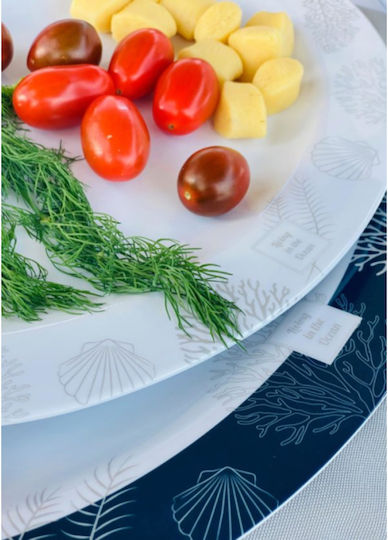 Marine Business Living Serving Plate Shallow Oval Made of Melamine 2 Pieces