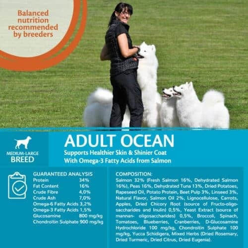Wellness Core Adult Ocean 1.8kg Dry Food Grain-Free for Adult Medium & Large Breed Dogs with Salmon and Tuna